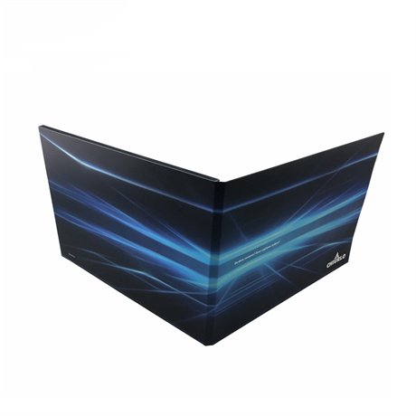 10 inch video brochure 